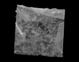 The input image of the soil.