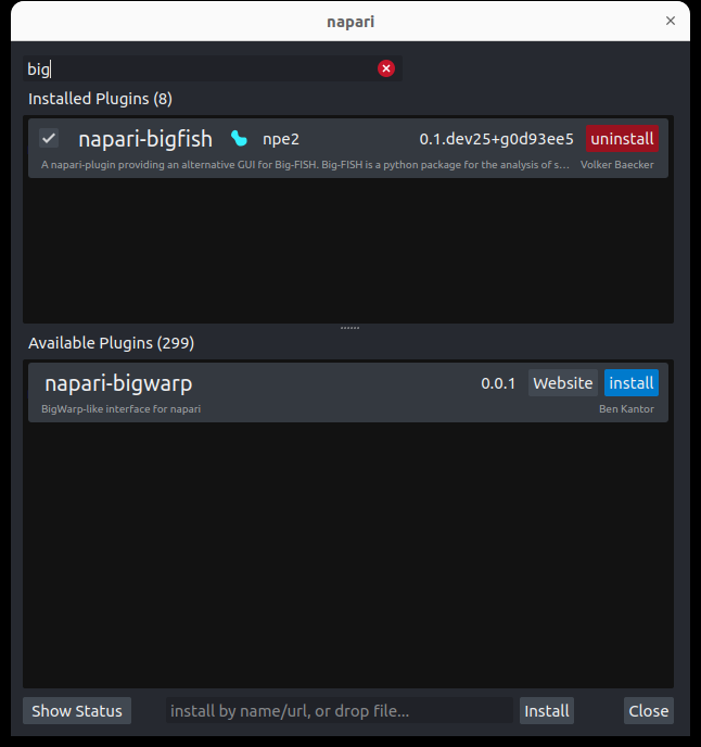 installation of the napari-bigfish plugin